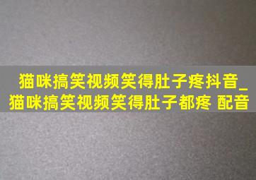 猫咪搞笑视频笑得肚子疼抖音_猫咪搞笑视频笑得肚子都疼 配音